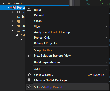 Set as StartUp Project