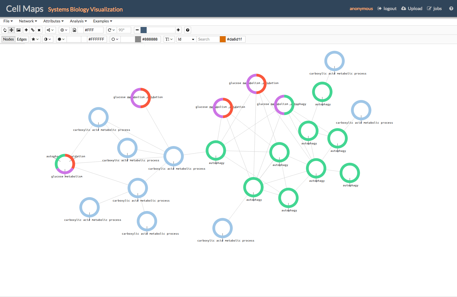 Gene expression subnetwork with Gene Ontology functions