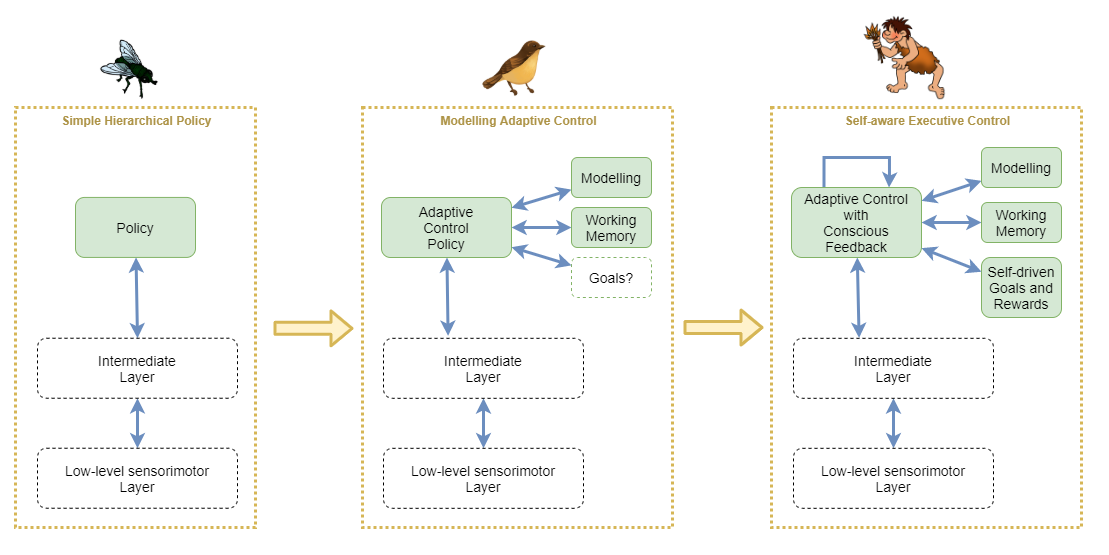 evolutionary progression