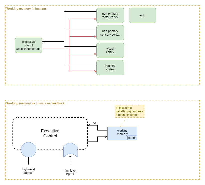 working-memory-variations